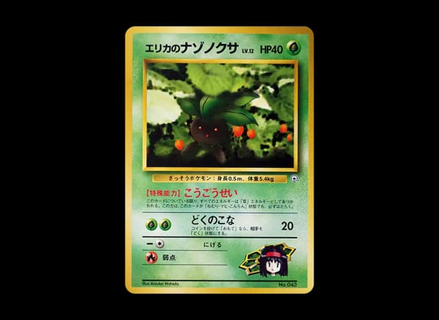 エリカのナゾノクサLV.12