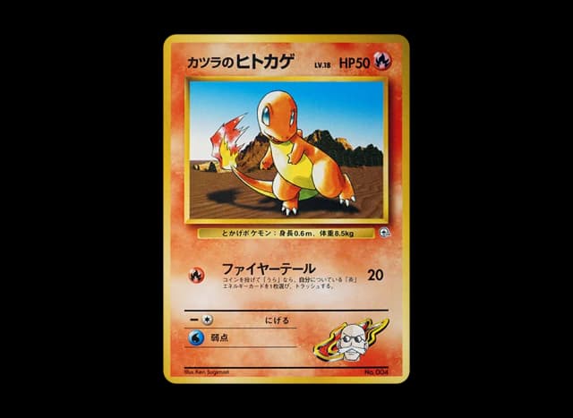 カツラのヒトカゲLV.18