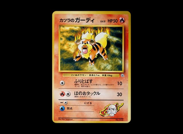 カツラのガーディLV.17