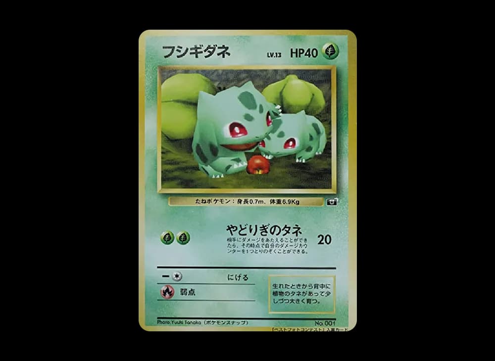 フシギダネ P : 旧裏