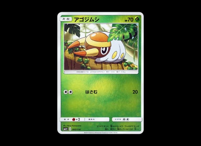 アゴジムシ (ミラー)