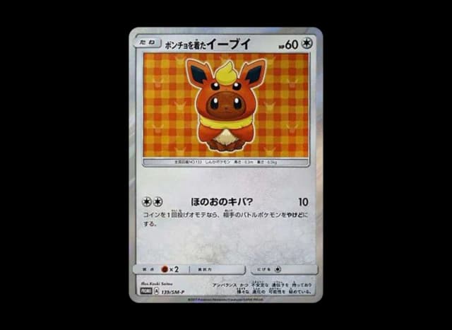 Eevee wearing a poncho