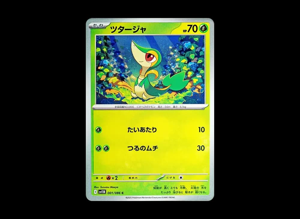 ツタージャ (ミラー)