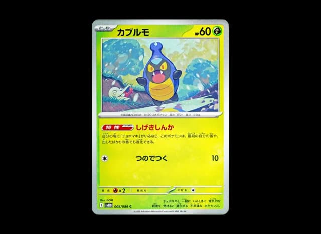 カブルモ (ミラー)