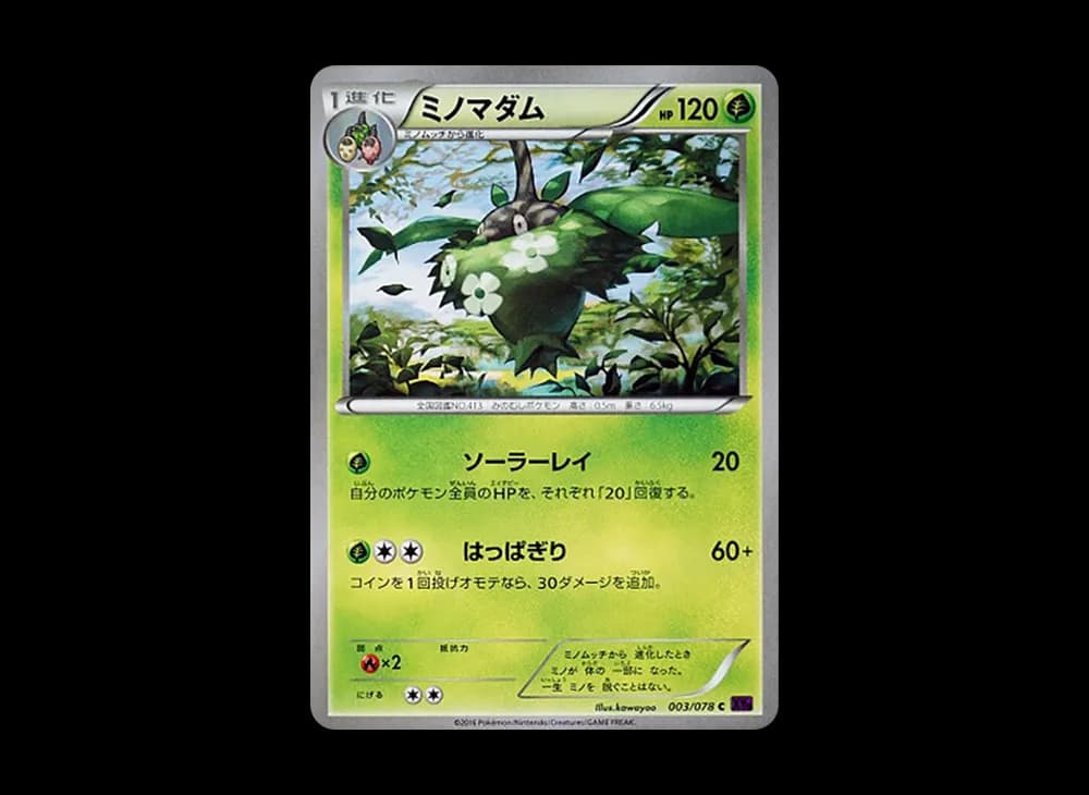 ミノマダム (1st Edition)