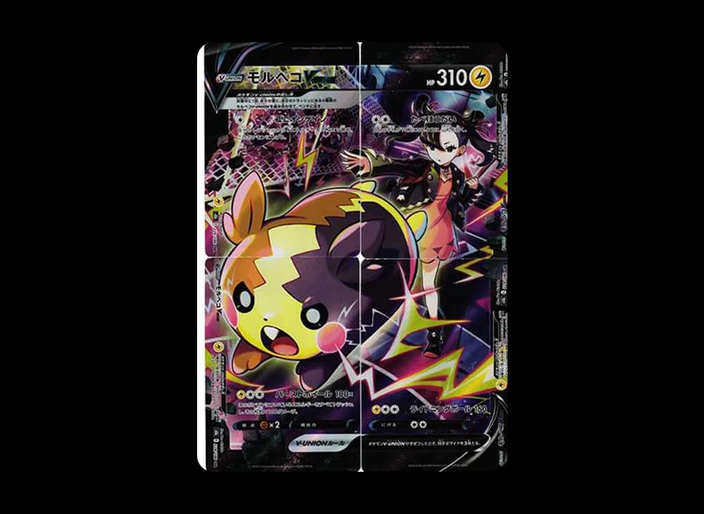 モルペコV-UNION CSR