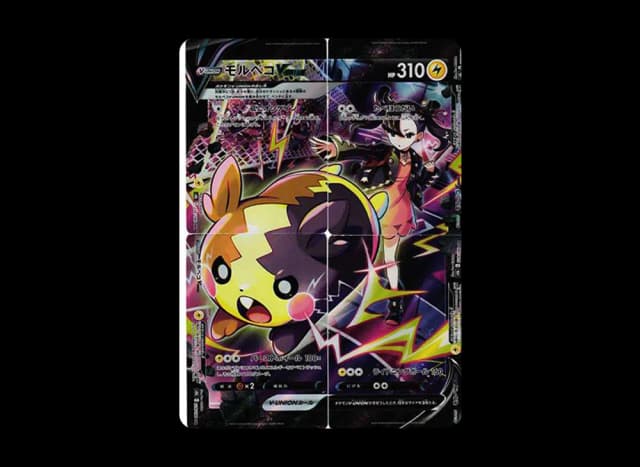 モルペコV-UNION CSR