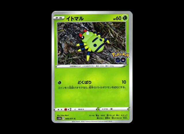 イトマル C