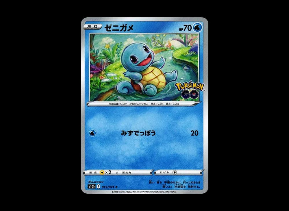 ゼニガメ C