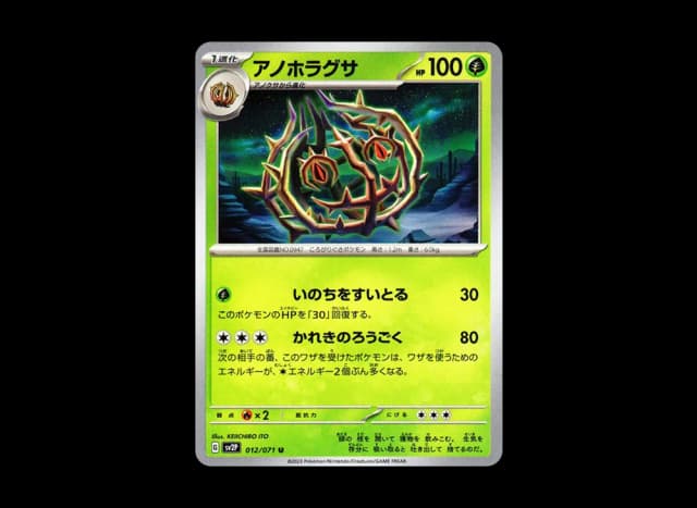 アノホラグサ U