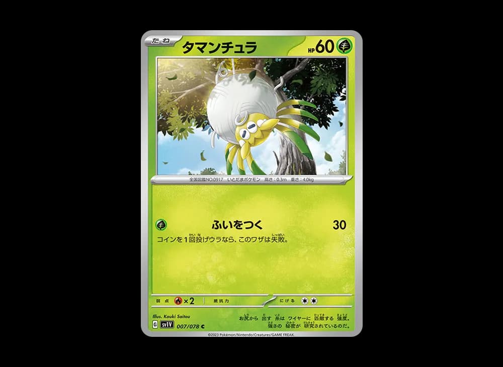 タマンチュラ C