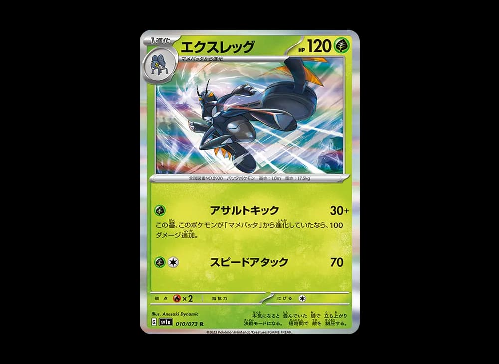 エクスレッグ R