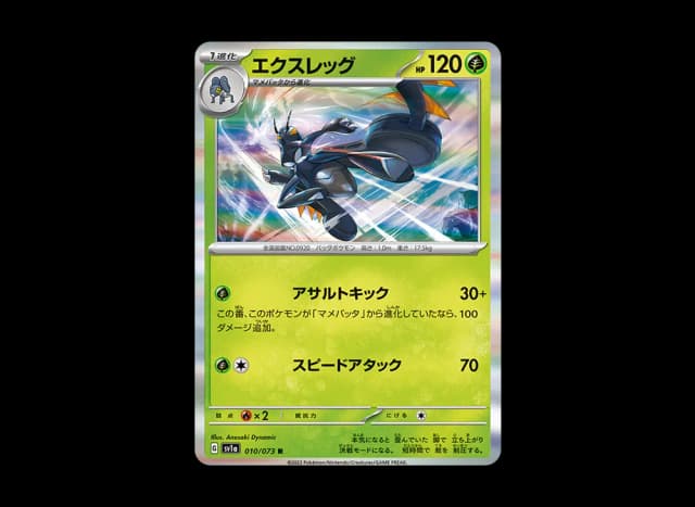 エクスレッグ R