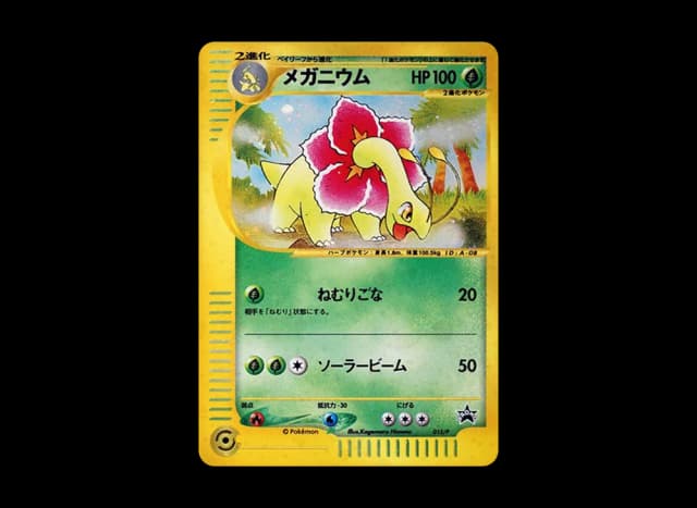 メガニウム P
