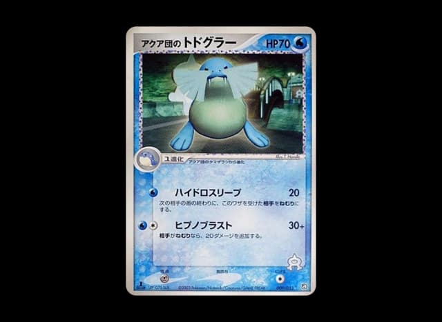 アクア団のトドグラー