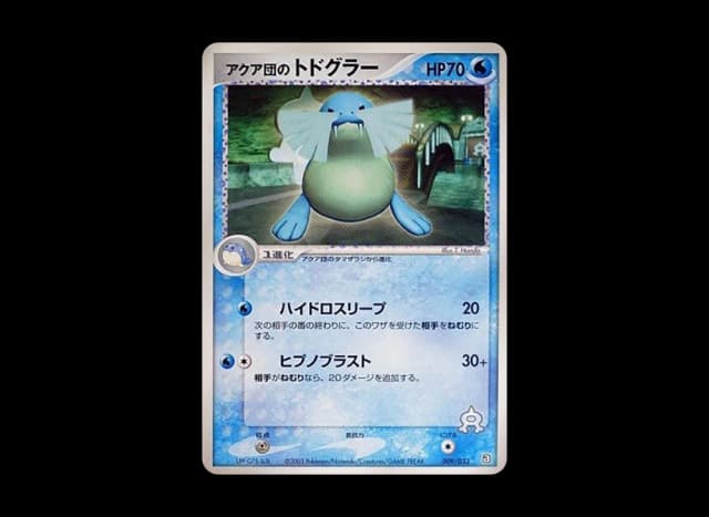 アクア団のトドグラー