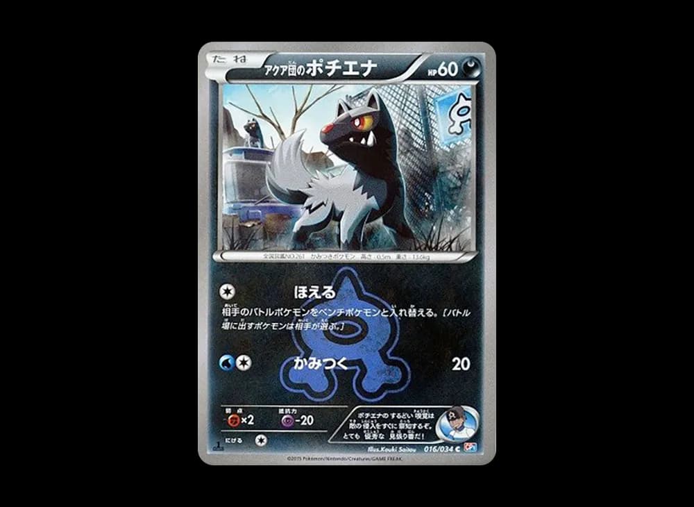 アクア団のポチエナ C