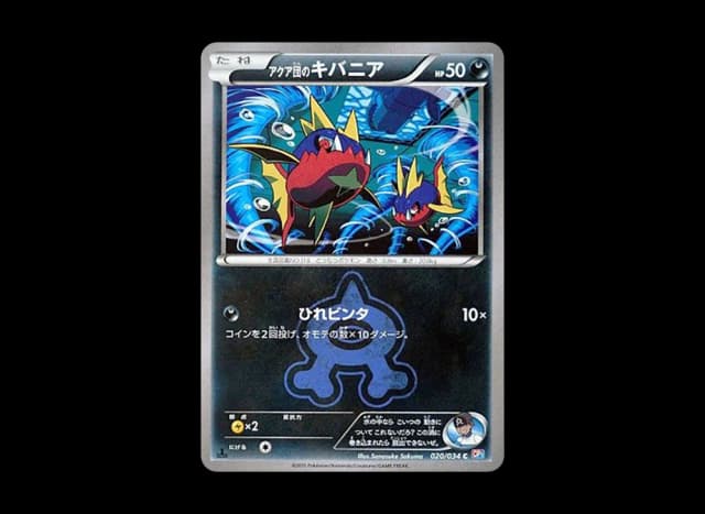 アクア団のキバニア C