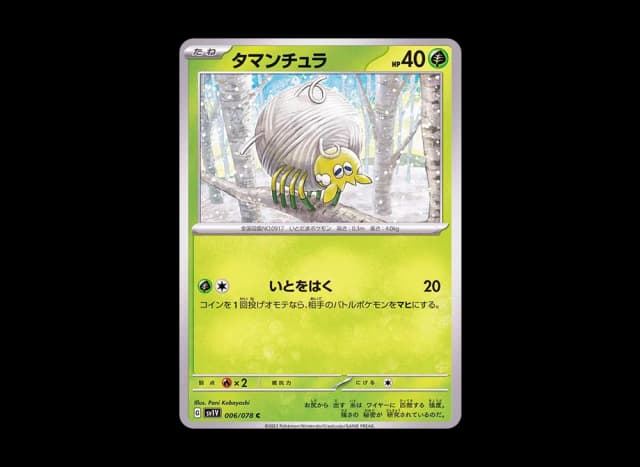 タマンチュラ C