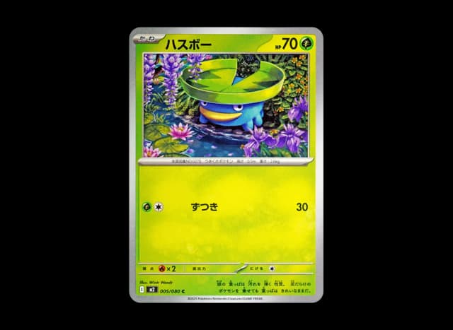 ハスボー C