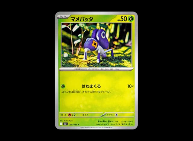 マメバッタ C